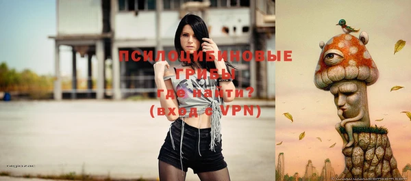 индика Вязьма