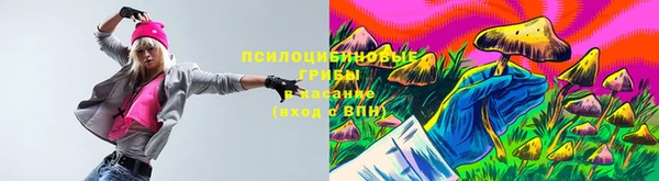 эйфоретик Вязники