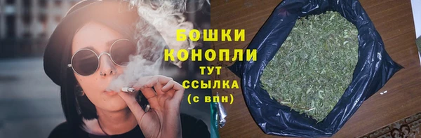 индика Вязьма