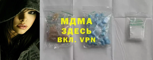 индика Вязьма