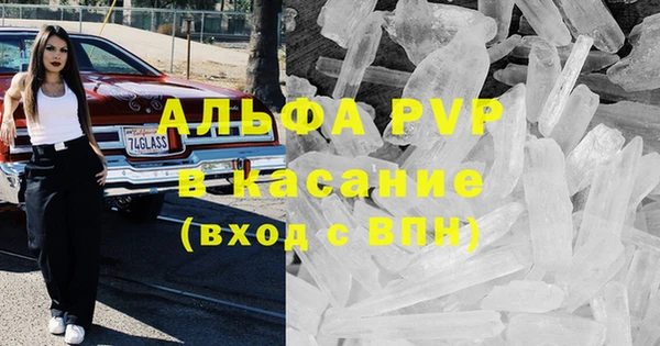 индика Вязьма