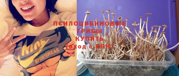 индика Вязьма
