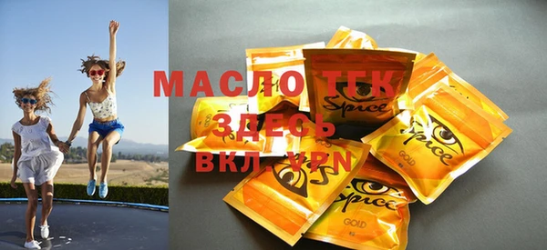 индика Вязьма
