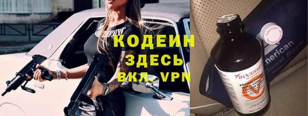 индика Вязьма