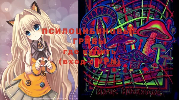 герыч Вяземский
