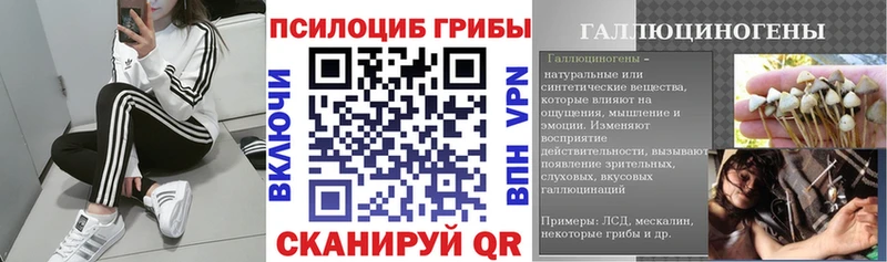 Галлюциногенные грибы мухоморы  Купить где  Красноуральск 